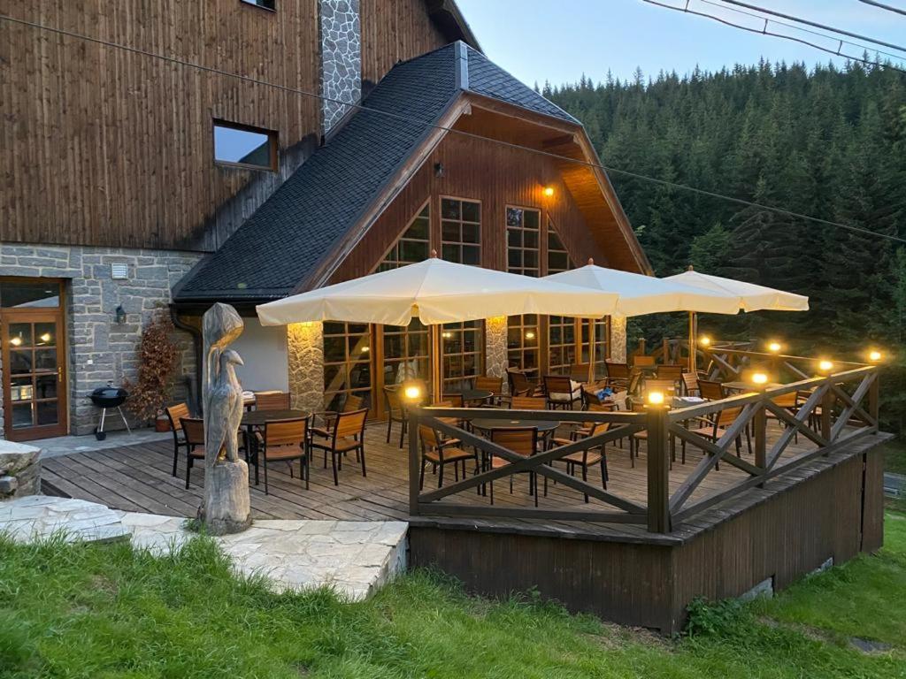 Horsky Hotel Vidly Karlova Studánka Εξωτερικό φωτογραφία