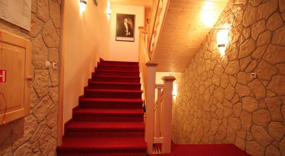 Horsky Hotel Vidly Karlova Studánka Εξωτερικό φωτογραφία