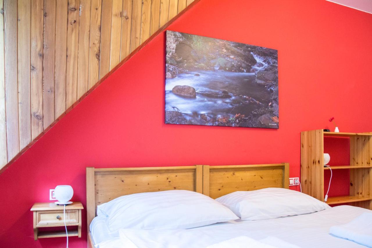 Horsky Hotel Vidly Karlova Studánka Εξωτερικό φωτογραφία