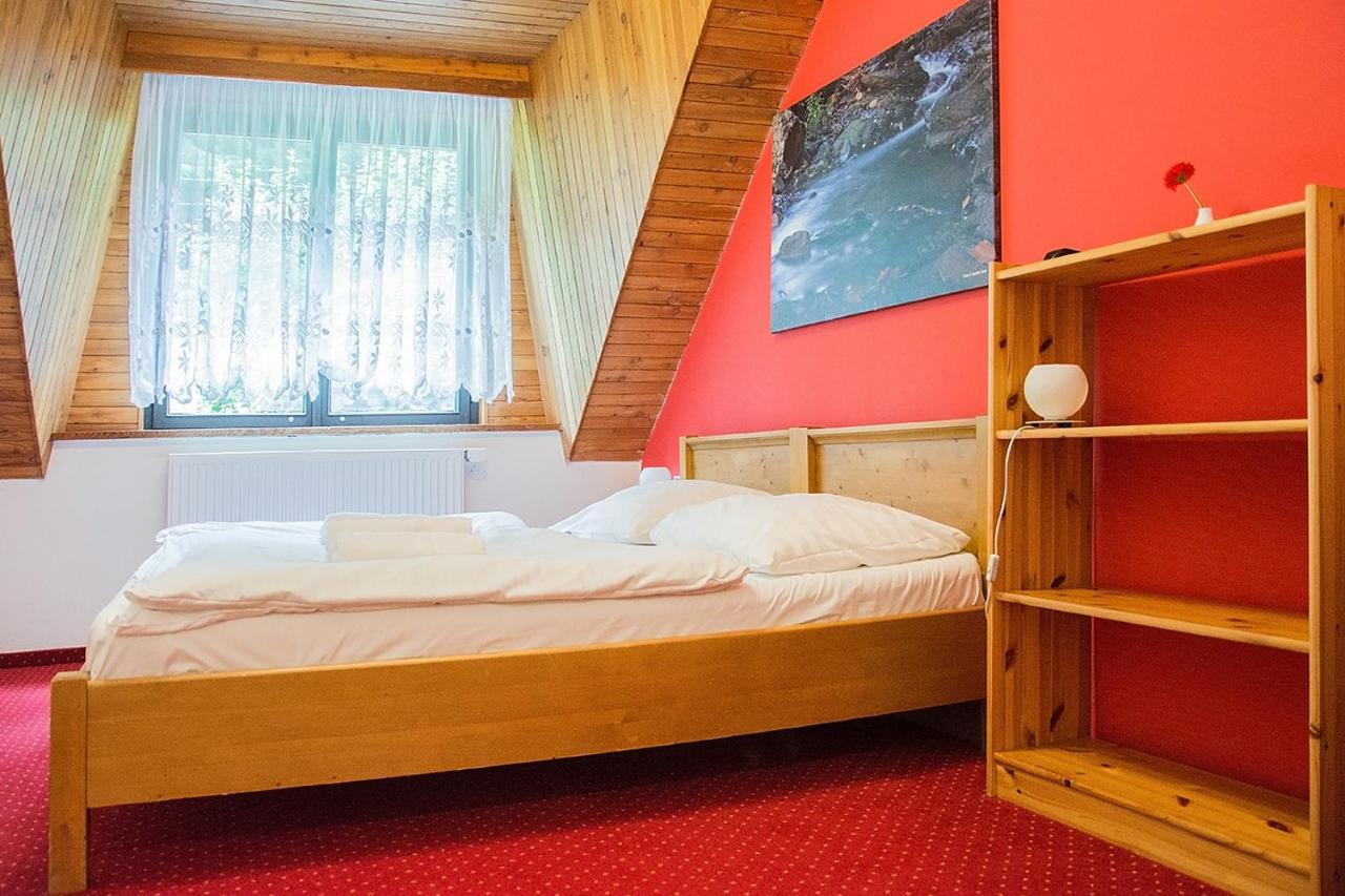 Horsky Hotel Vidly Karlova Studánka Εξωτερικό φωτογραφία