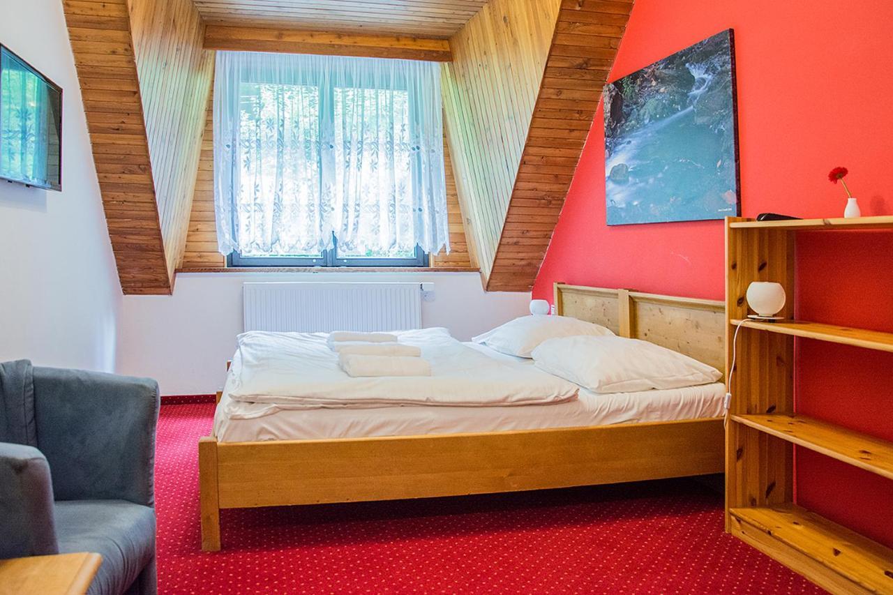 Horsky Hotel Vidly Karlova Studánka Εξωτερικό φωτογραφία