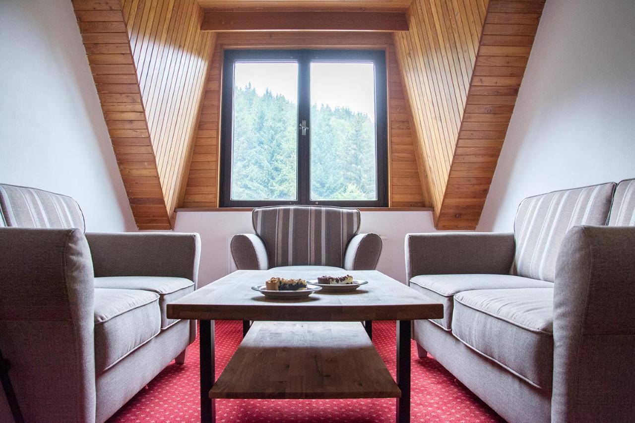 Horsky Hotel Vidly Karlova Studánka Εξωτερικό φωτογραφία